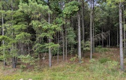 4430 Crockett Point, Jasper, TN 37347