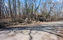 Mill Street, Albion, MI 49224