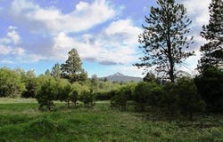 Peninsula Drive, Placerville, CO 81430