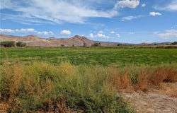 430 Paradise Road, Alamo, NV 89001