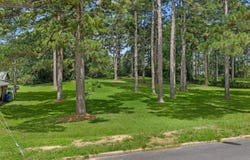 Gladney Street, Minden, LA 71055