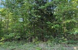 Tract 5 Carter 327, Ellsinore, MO 63937