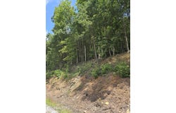 Ashley Lane, Jellico, TN 37762