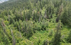 NKA INITIAL PEAK Rd, Cataldo, ID 83810