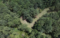 8501 Lawsontown Rd, Adger, AL 35444