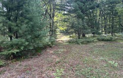 Beaver Road, Bitely, MI 49309