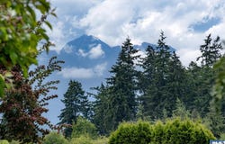 1082 Carlsborg Road, Sequim, WA 98382