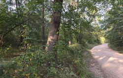 101-H 4272, Rattan, OK 74562