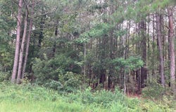 33 Pine Crest Road, Bath, NC 27808