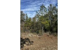 Valiant Drive, Chipley, FL 32428