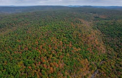 DUDLEY Road lot: 3, SIX MILE RUN, PA 16679