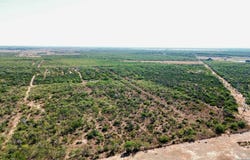 7365 Leal Rd, Pleasanton, TX 78064