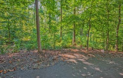 279 Mavericks Run, Martin, GA 30557