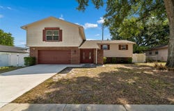 2620 GIANT Place, SEFFNER, FL 33584