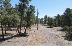 Pine Avenue, Upton, WY 82730