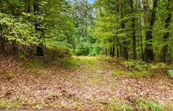 3177 N Silver Ridge Road, Mears, MI 49436