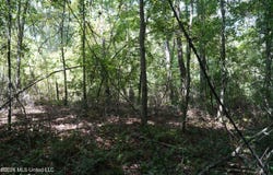 Joe Booth Road, Collins, MS 39428