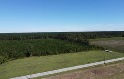 Tema Road, Hartsville, SC 29550