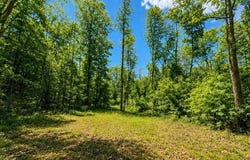 Cedar Drive, Scott Depot, WV 25560