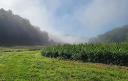 4795 County Road C, Spring Green, WI 53588