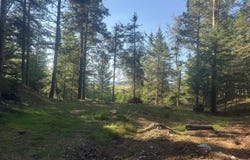 3353 W Michibay Dr, Gulliver, MI 49840
