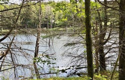 Maples Road, Hartwick, NY 13348