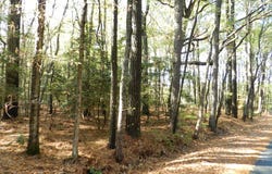 BATTLE POINT RD lot: E2, JAMESVILLE, VA 23398