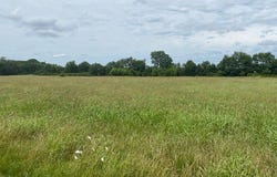 HWY 16 Ar-16, Elkins, AR 72727