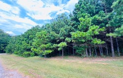 284 Leeward Drive, Hemphill, TX 75948