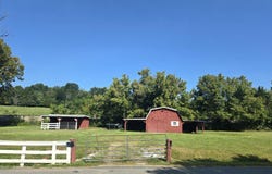 168 Patton May Road, Telford, TN 37690