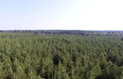TUCKER STORE ROAD lot: 29 Ac+/- Tucker Store, Spearsville, LA 71277