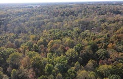W Bland Drive, West Terre Haute, IN 47885