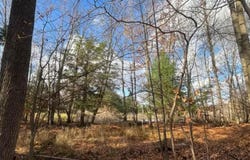 SPRING LAKE Drive, SOBIESKI, WI 54171