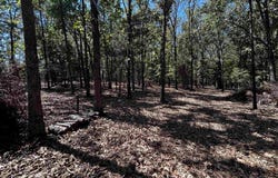 & Tract B, Cabot, AR 72023