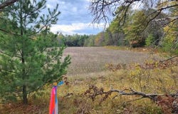 Parcel J Tatanka Trail, Baldwin, MI 49304