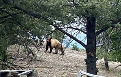 67 Lookout Circle, Datil, NM 87821