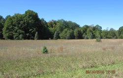 241 KYLE DRIVE, KALKASKA, MI 49646