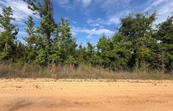 97 Stricklin Road, BRANTLEY, AL 36009