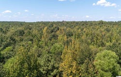 TRAMM ROAD, Bastrop, LA 71220