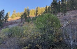 1 Armin Rd, Joseph, OR 97846