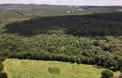 HWY 28, Ola, AR 72853