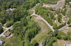 Trotti Ave lot: C & D, Chesterfield, SC 29709