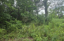 3287 Pomme De Terre Circle, Flemington, MO 65650