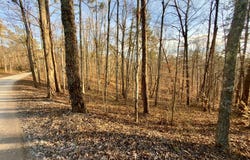 Muddy Ridge Rd, Adams, KY 41201