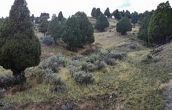 Hillside Dr, Soda Springs, ID 83276