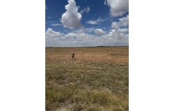 E 597, Idalou, TX 79329