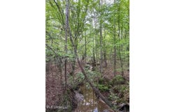 Ashley Road, Brandon, MS 39042