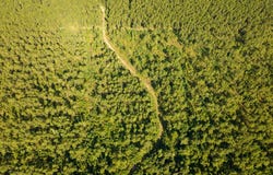 1 Highway 165, Kinder, LA 70648