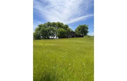 3392 Fm 896, Leonard, TX 75452