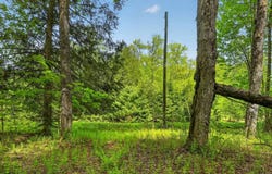 L1.6 Crystal Brook Path, Jefferson, NY 12093
